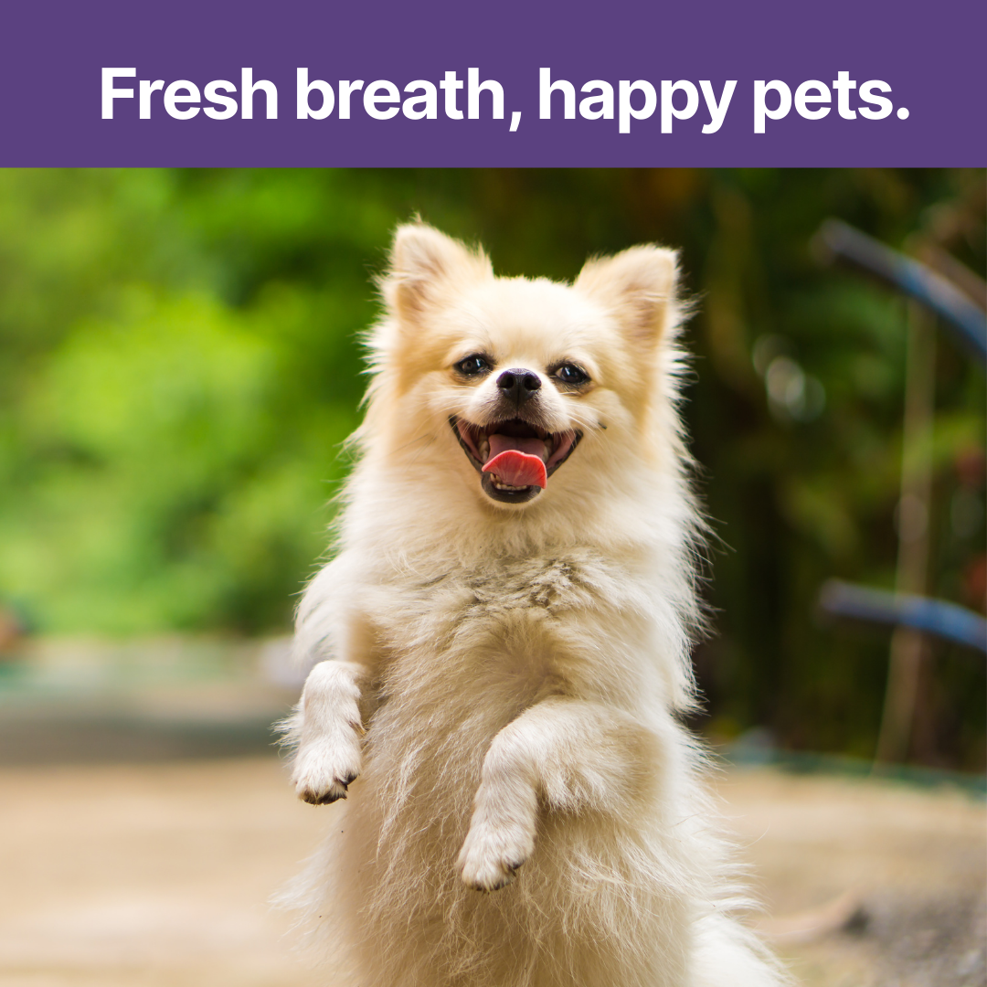 Ortexa - Pet Oral Care Spray Ortexa
