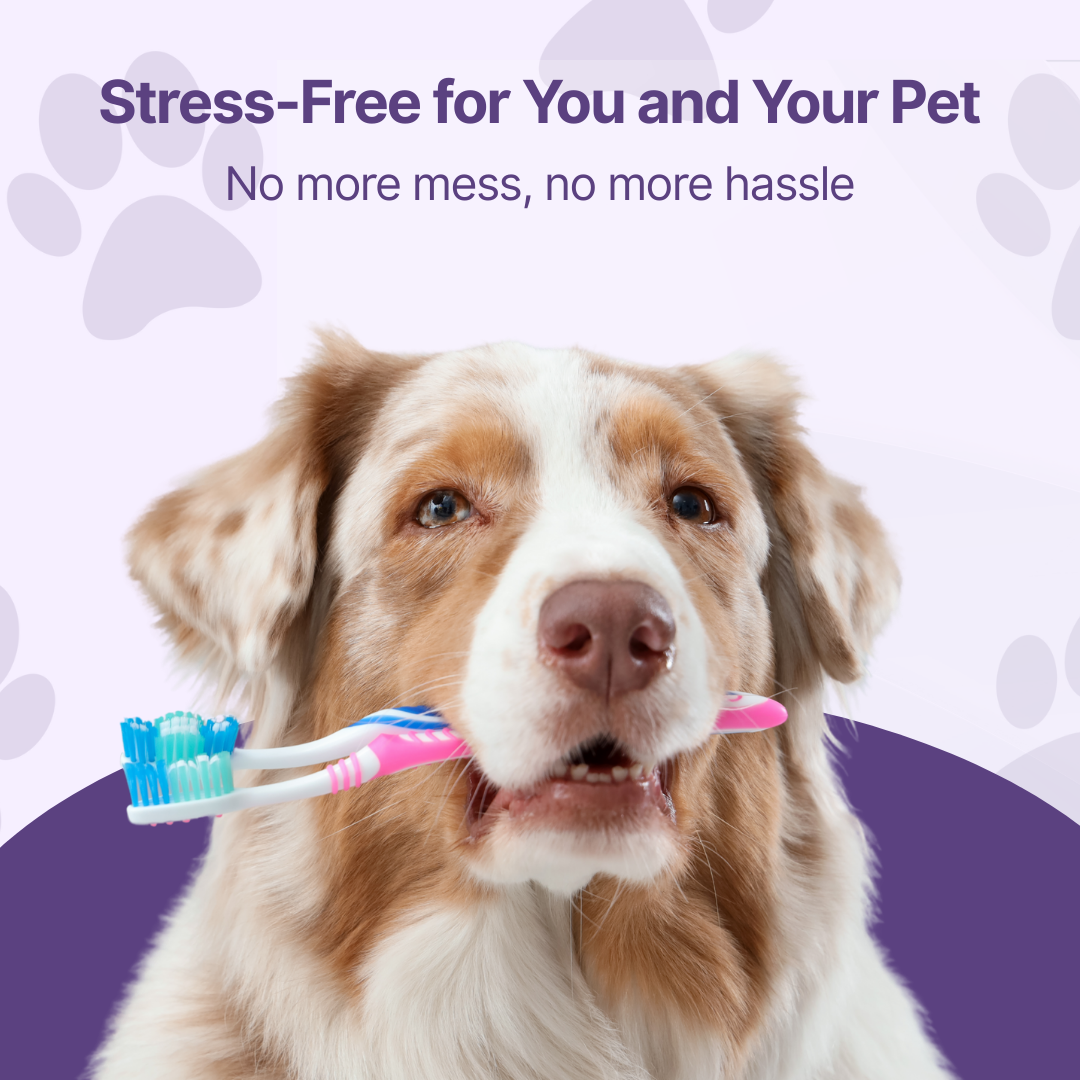 Ortexa - Pet Oral Care Spray Ortexa