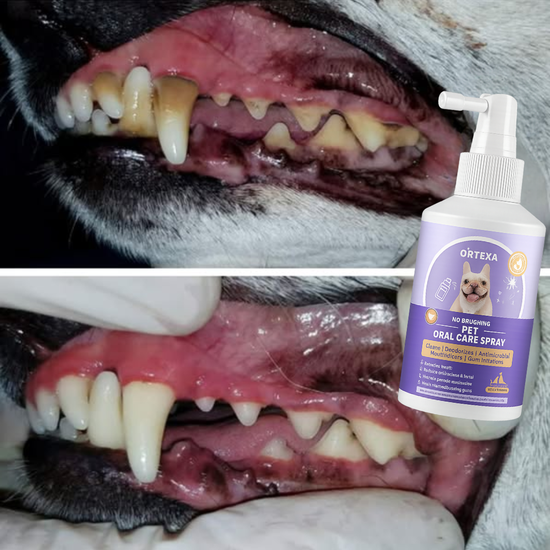 Ortexa™ Pet Oral Care Spray