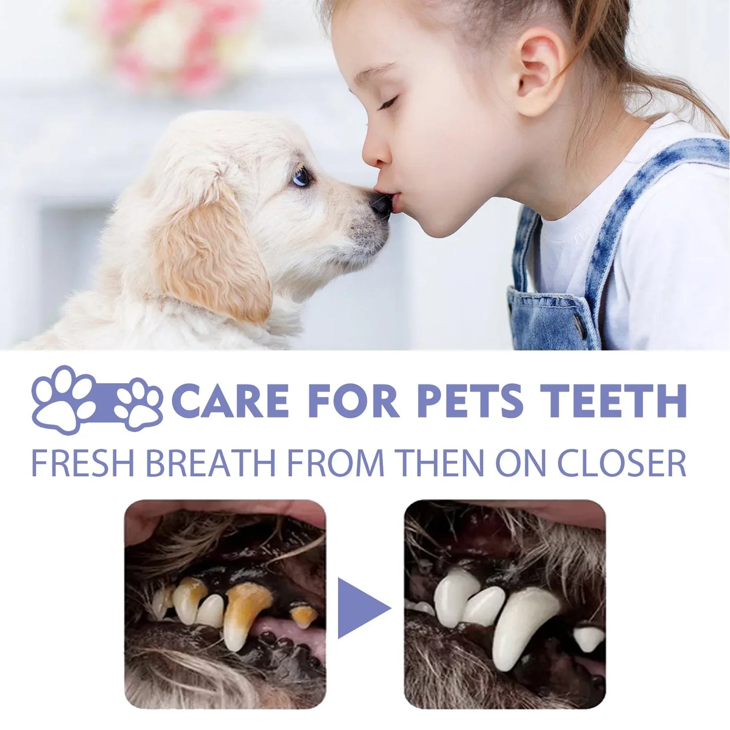 Ortexa™ Pet Oral Care Spray