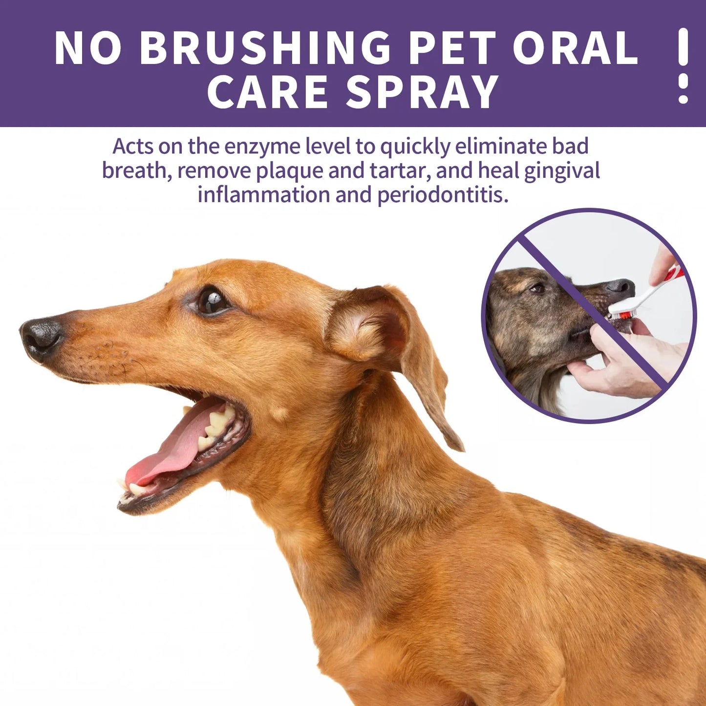 Ortexa™ Pet Oral Spray