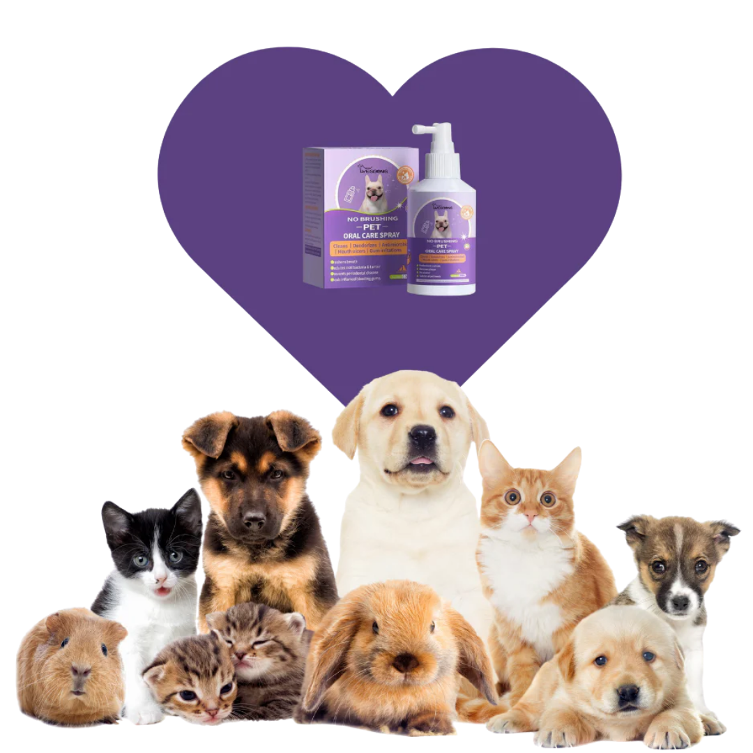 Ortexa No-Brush Pet Oral Care Spray — box and bottle
